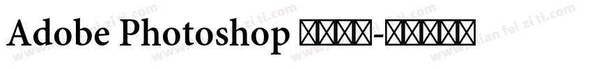 Adobe Photoshop 此文本图字体转换